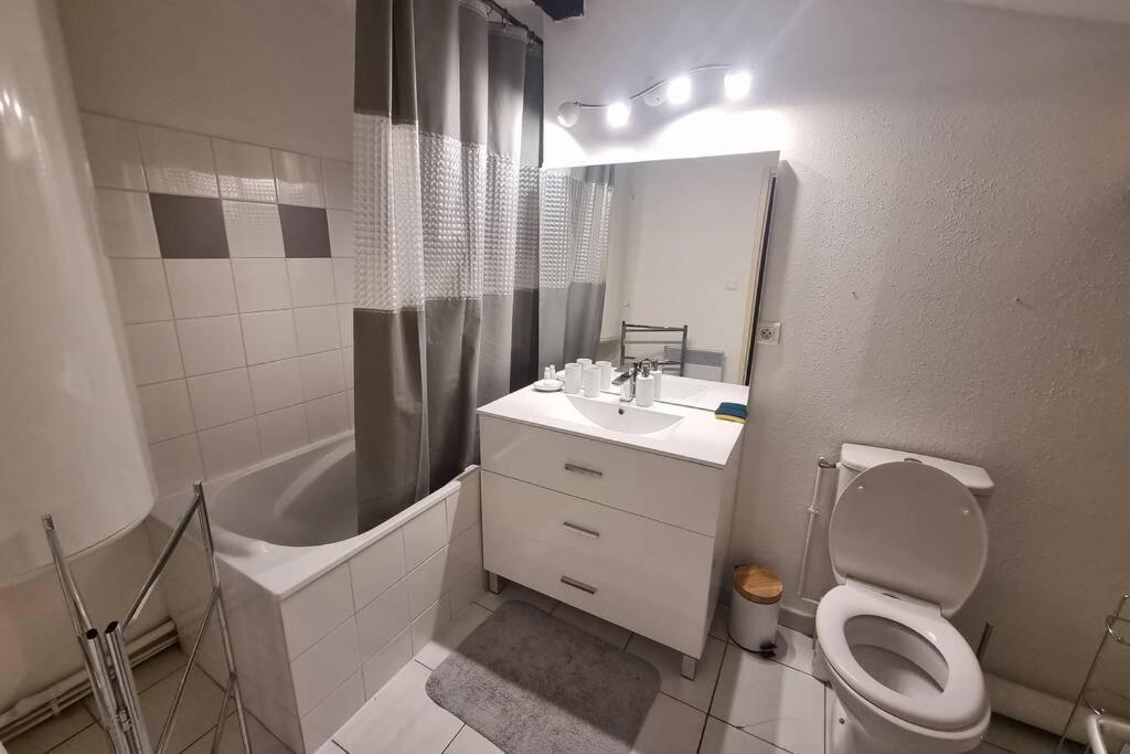 Appartement Exceptionnel 4 Etoiles Hyper Centre Albi 65 M2 Au 4Eme Etage Sans Ascenseur Avec Une Tour Du 12Eme Siecle ภายนอก รูปภาพ